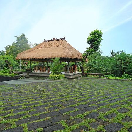 Inang Villa Ubud Zewnętrze zdjęcie