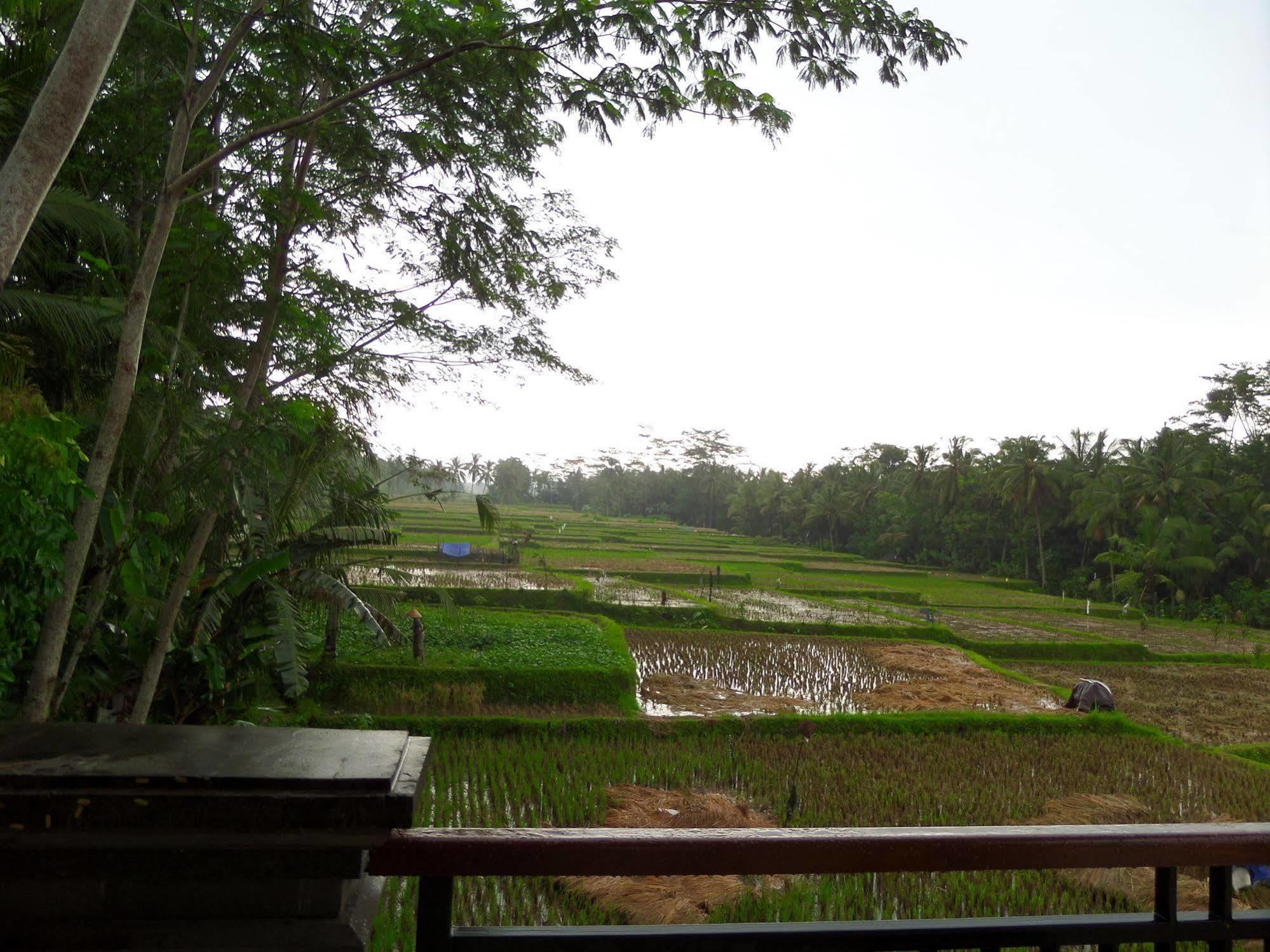 Inang Villa Ubud Zewnętrze zdjęcie