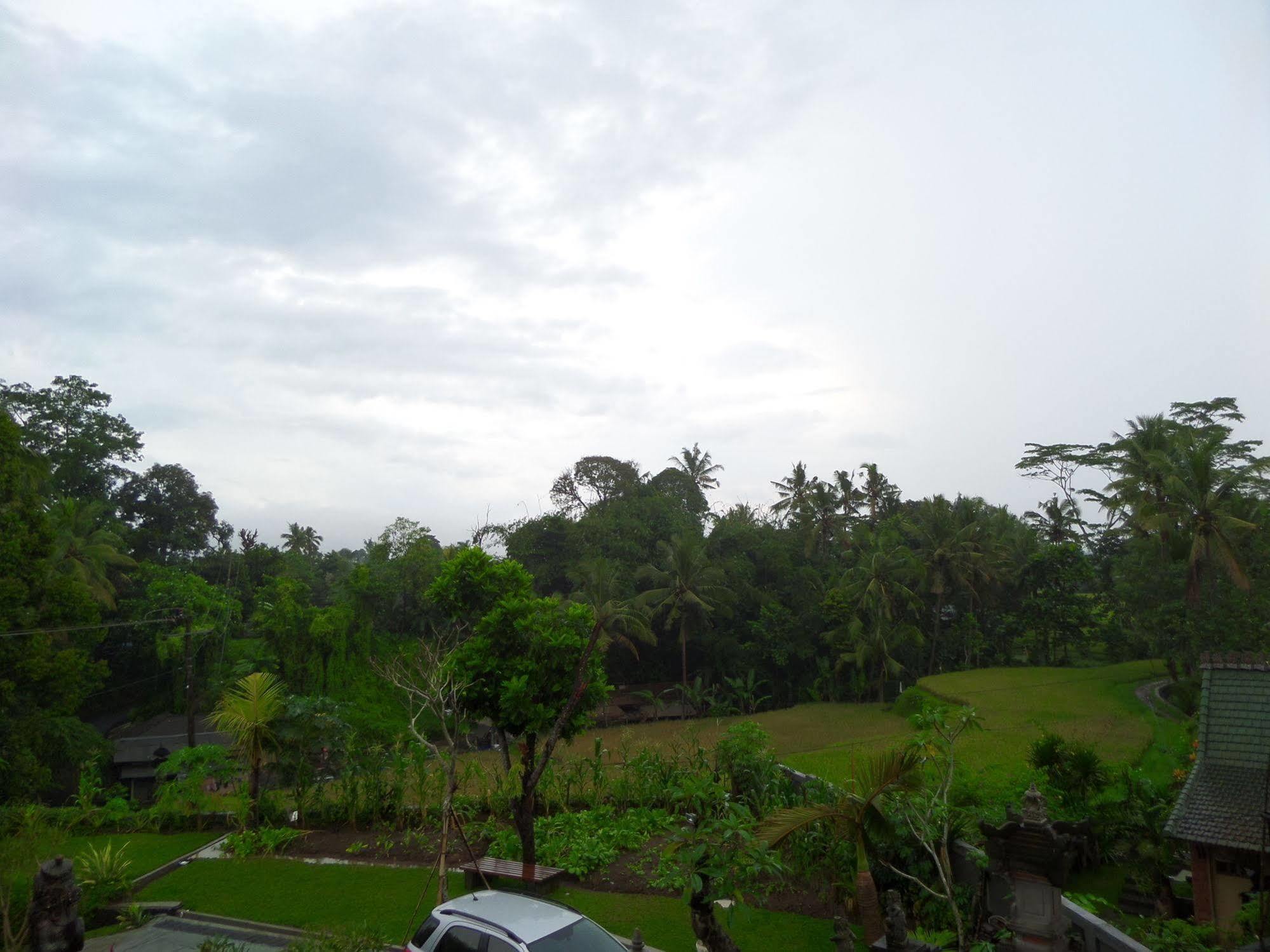 Inang Villa Ubud Zewnętrze zdjęcie